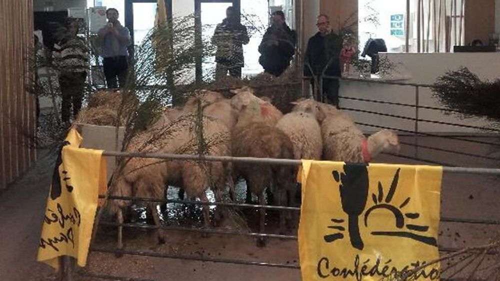 Le 14 mars 2018, la Confédération paysanne occupe le ministère de l’Agriculture avec des brebis. © Confédération paysanne